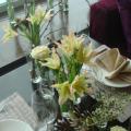 DSC01419.JPG